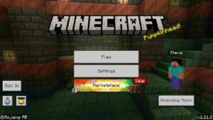 Minecraft 1.21.2 1