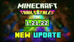 Minecraft 1.21.22 1