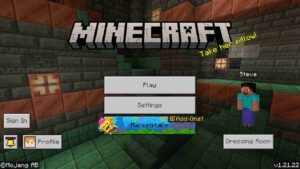 Minecraft 1.21.22 2