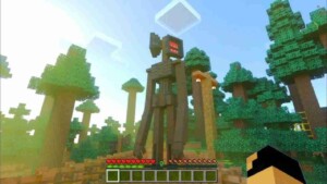 Minecraft 1.21.22 3