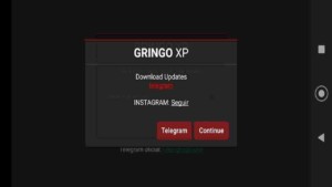 Gringo XP 3