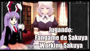 Working Sakuya 1