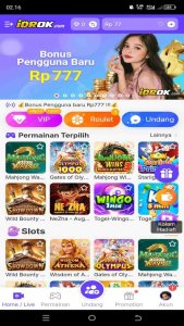 IDROK 2