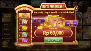7Svip 1
